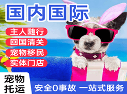 朔州空运代理国际宠物托运 【国